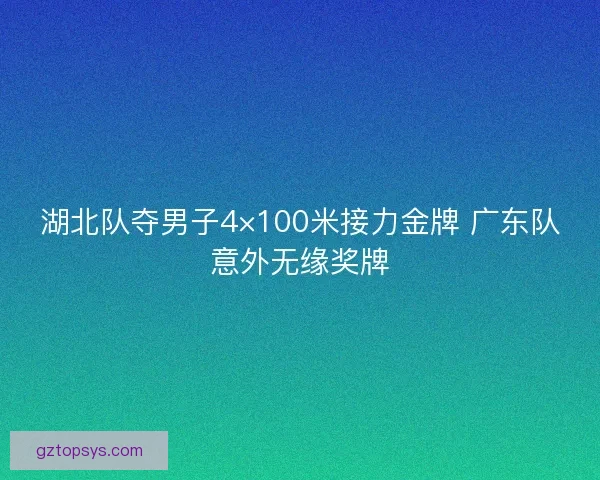 湖北队夺男子4×100米接力金牌 广东队意外无缘奖牌