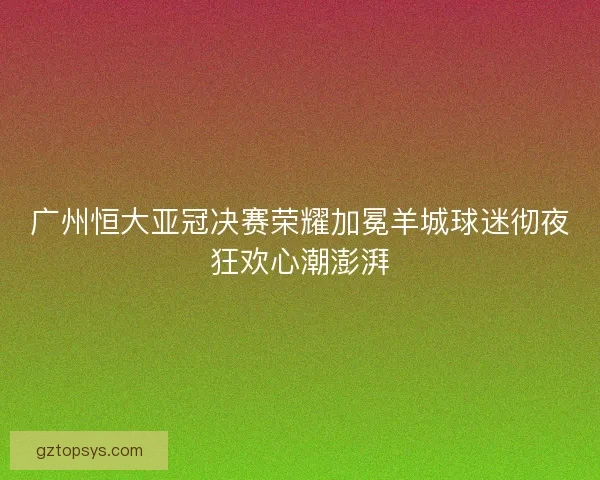 广州恒大亚冠决赛荣耀加冕羊城球迷彻夜狂欢心潮澎湃