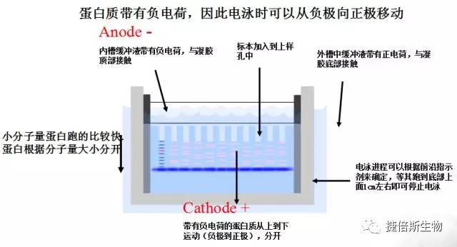 文化资本ROI：在文化时代如何实现最大价值